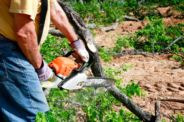 Best Soil Testing and Treatment  in West Baraboo, WI